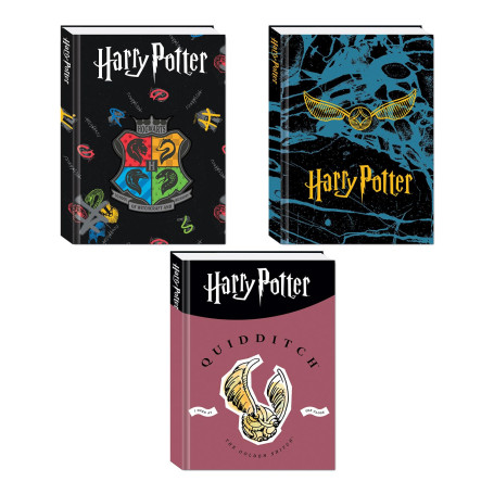 DIARIO 10 MSESI STANDARD HARRY POTTER 