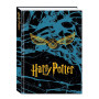 DIARIO 10 MSESI STANDARD HARRY POTTER 