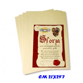 CARTA SFORZA GR.90 CONF.12 FG.CM.21X29,7 