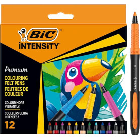 PENNARELLI BIC INTENSITY PREMIUM CONF.12 