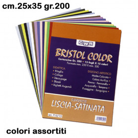 CONF. 15 CARTONCINI BRISTOL CM. 25x35 CO L. ASS.