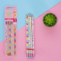 SET 4 MATITE HB PROFUMATE -UNICORN LEGAMI