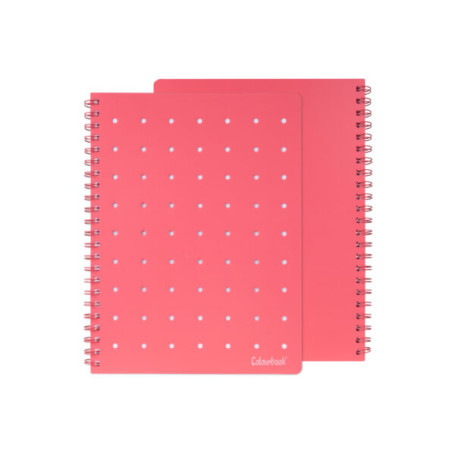 QUADERNO A6 SPIRALATO PIN-IT 1RIGO ROSSO COLOURBOOK