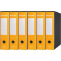 RACCOGLITORE ESSELTE D.8 GIALLO G75 