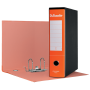 RACCOGLITORE ESSELTE D.8 ARANCIO G75 