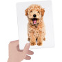 FLASHCARDS TACTILE MONTESSORI HEADU