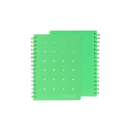 QUADERNO SPIRALATO PIN-IT 5MM VERDE COLOURBOOK
