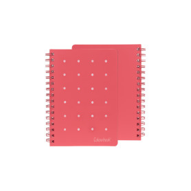 QUADERNO SPIRALATO PIN-IT 5MM ROSSO COLOURBOOK