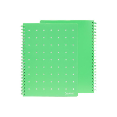 QUADERNO MAXI SPIRALATO PIN-IT 5MM VERDE COLOURBOOK