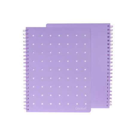 QUADERNO MAXI SPIRALATO PIN-IT 5MM VIOLA COLOURBOOK