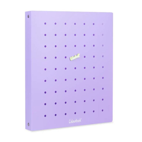 RACCOGLITORE AD ANELLI A/4 IN PPL PIN-IT VIOLET COLOURBOOK