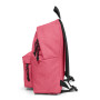 ZAINO PADDED PAK'R SPARK JELLY EASTPAK