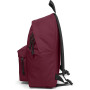 ZAINO PADDED PAK'R MAROON BURGUNDY EASPA 