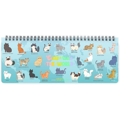 AGENDA 12 MESI PLANNER KITTY LEGAMI