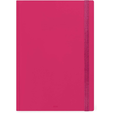 AGENDA 12 MESI GIORNALIERA MAXI RASPBERR CM21X29,7 LEGAMI