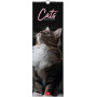 CALENDARIO DA PARETE 2026-CATS CM16X49 LEGAMI