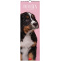 CALENDARIO DA PARETE 2026-PUPPIES CM16X49 LEGAMI