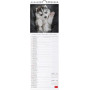 CALENDARIO DA PARETE 2026-PUPPIES CM16X49 LEGAMI