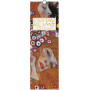 CALENDARIO DA PARETE 2026-GUSTAV KLIMT CM16X49 LEGAMI
