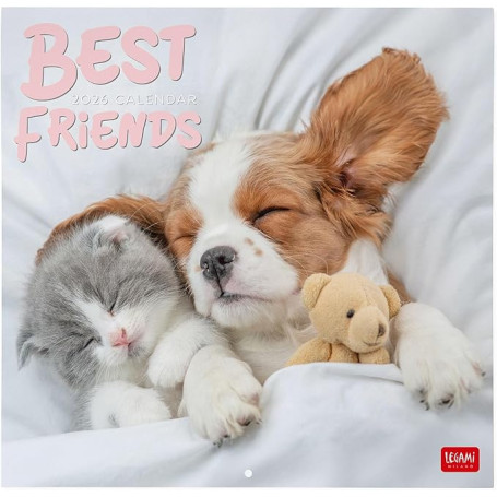 CALENDARIO DA PARETE 2026-BEST FRIENDS CM30X29 LEGAMI