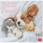 CALENDARIO DA PARETE 2026-BEST FRIENDS CM30X29 LEGAMI