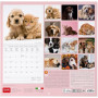 CALENDARIO DA PARETE 2026-BEST FRIENDS CM30X29 LEGAMI