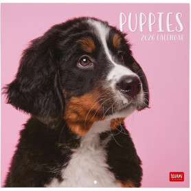 CALENDARIO DA PARETE 2026-PUPPIES CM30X29 LEGAMI