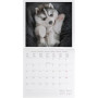 CALENDARIO DA PARETE 2026-PUPPIES CM30X29 LEGAMI