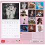 CALENDARIO DA PARETE 2026-PUPPIES CM30X29 LEGAMI