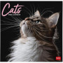 CALENDARIO DA PARETE 2026-CATS CM30X29 LEGAMI