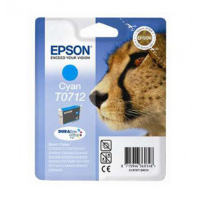 EPSON D78/DX4000/CIANO 