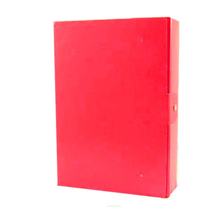 PORTAPROGETTI D.8 ESSELTE ROSSO
