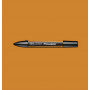 PANTONE PROMARKER RAW SIENNA O645 